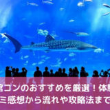 水族館コンのおすすめ4選！体験した口コミ感想から流れや攻略法まで解説