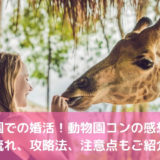 動物園での婚活！動物園コンの感想は？流れ、攻略法、注意点もご紹介
