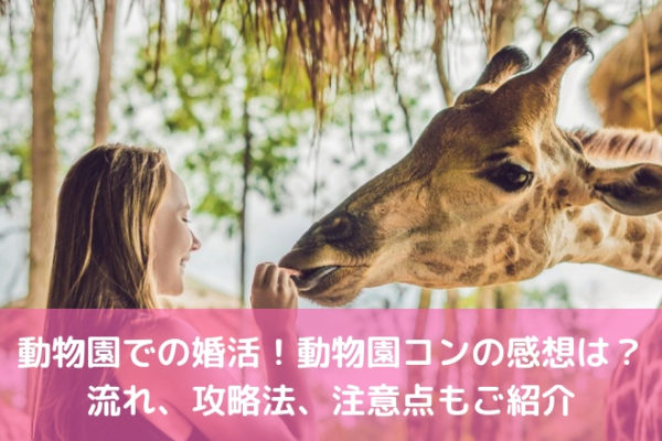 動物園での婚活！動物園コンの感想は？流れ、攻略法、注意点もご紹介