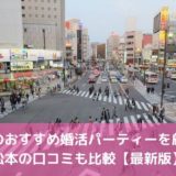 長野のおすすめ婚活パーティー12選!松本の口コミも比較【2022年版】