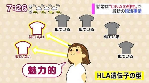 HLA遺伝子の型が似ていないTシャツを好む女性